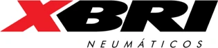 XBRI